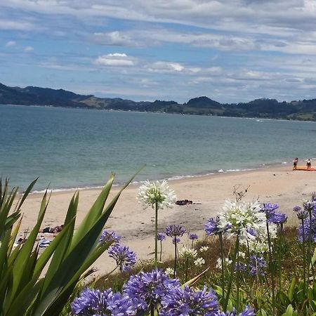 Cozy Cottage Whitianga Exterior photo